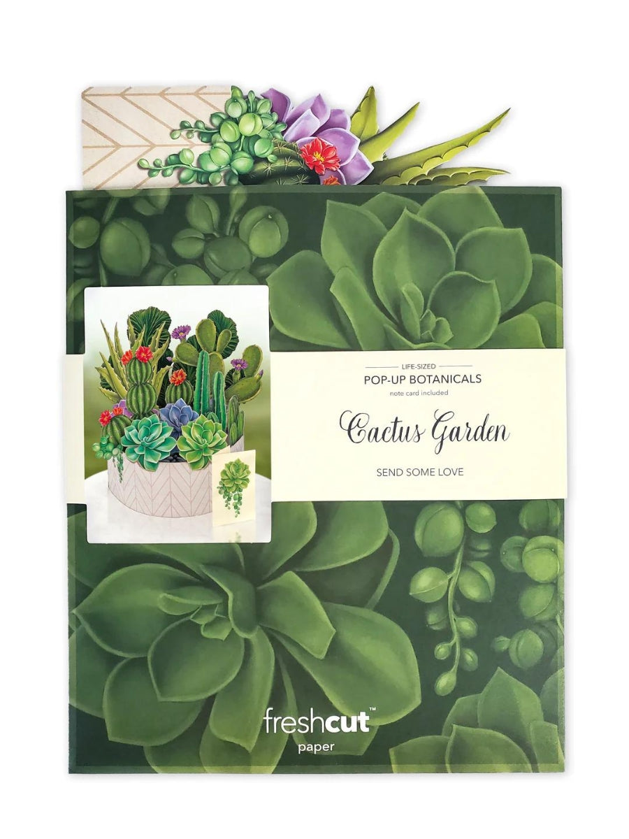 botanical succulent Cactus Garden Pop-Up Botanicals – Watson's Greenhouse
