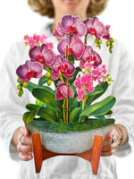 Orchid Oasis Pop-Up Flower Bouquet