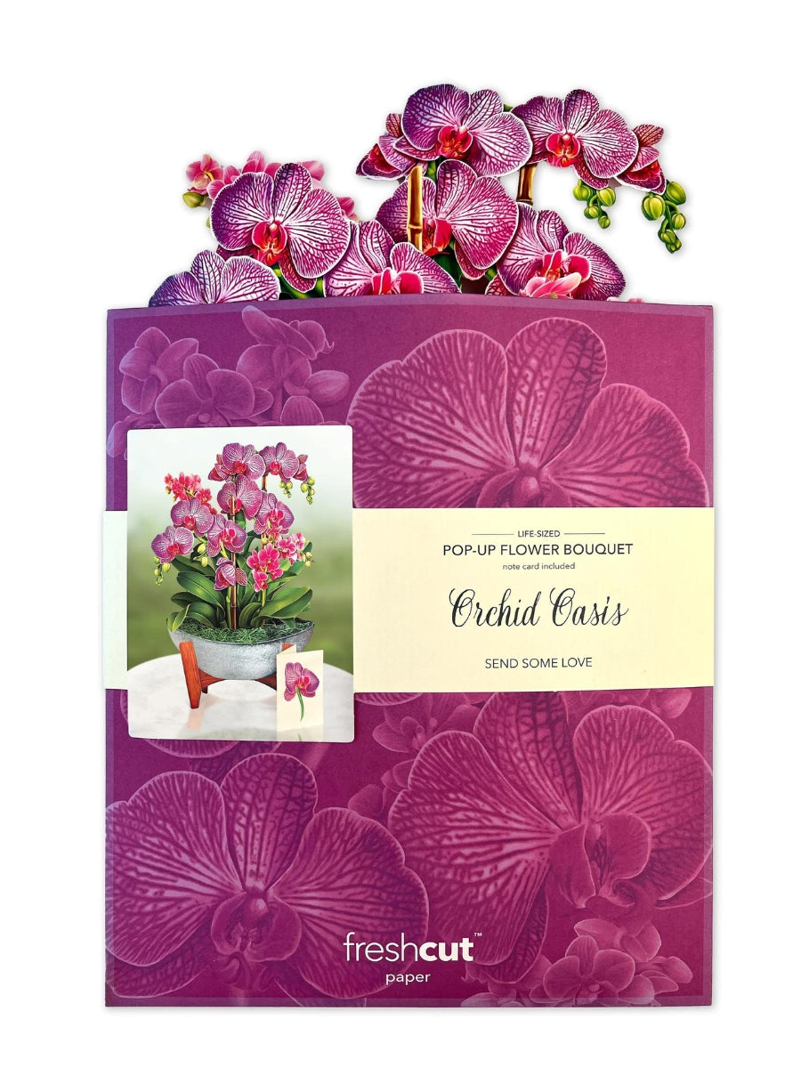 Orchid Oasis Pop-Up Flower Bouquet