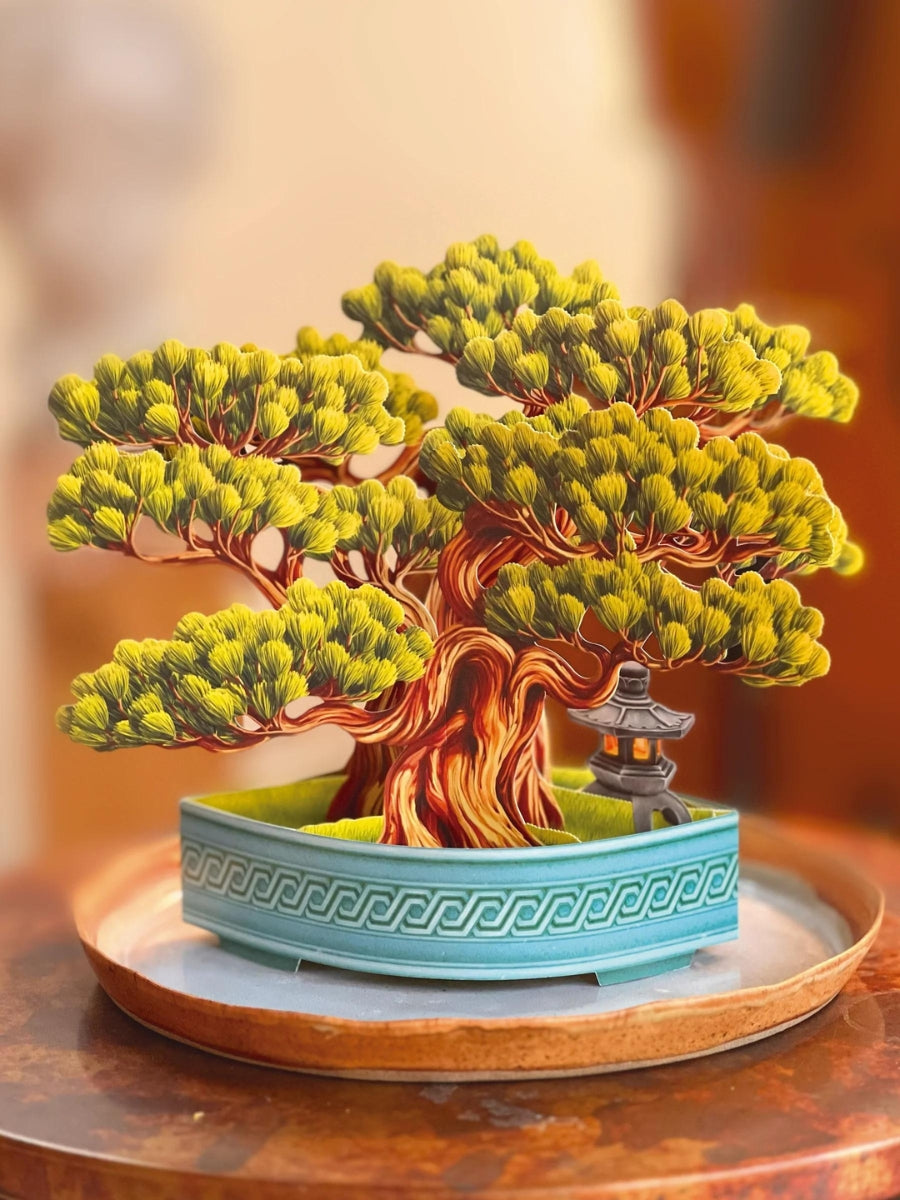 resin bonsai tree Wisdom Bonsai Pop-Up Houseplant – Watson's Greenhouse