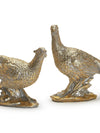 Golden Pheasant