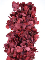Hydrangea Spray