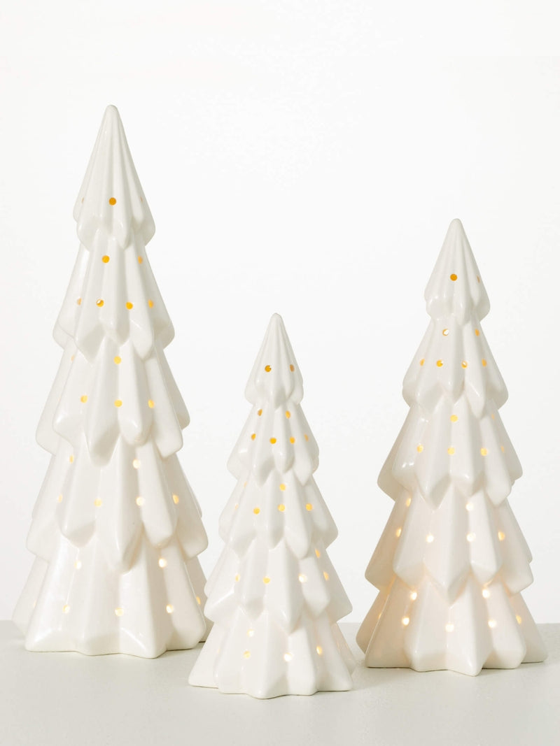 Lighted Christmas Tree