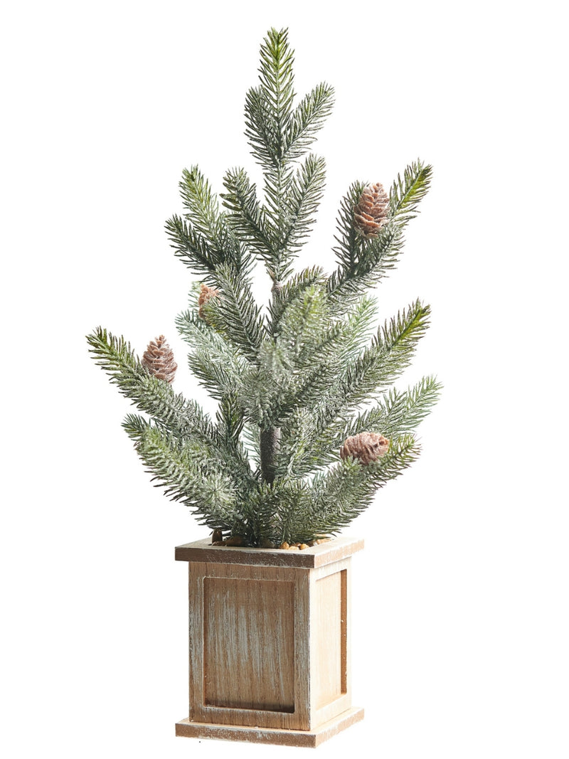 Potted Pine Tree with Pinecones