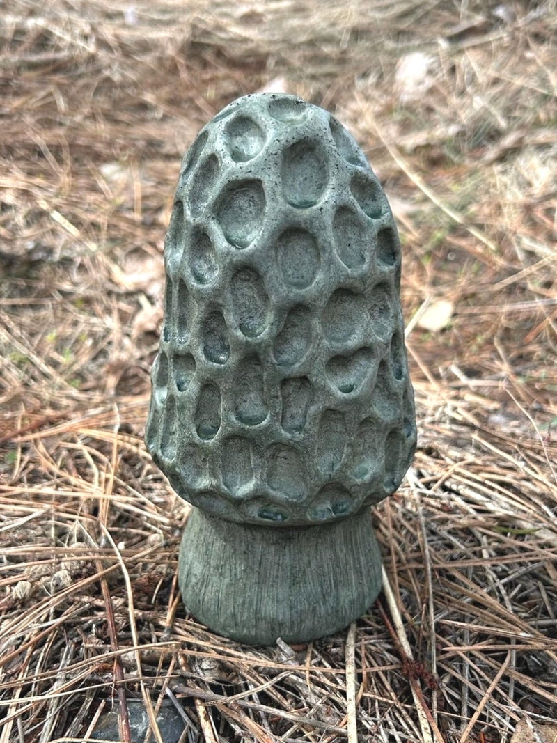 Mushroom Morel Small