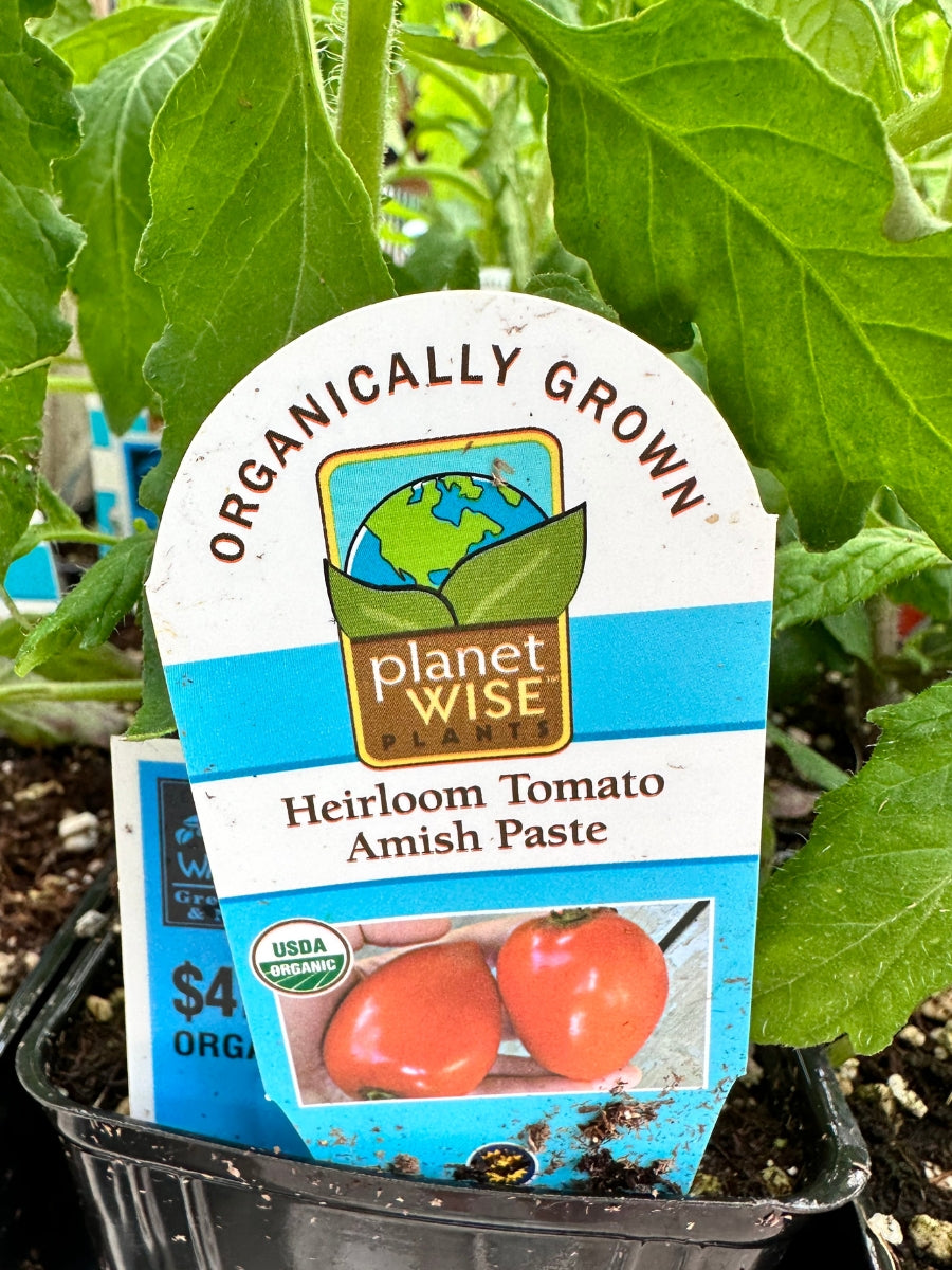 Watson's Greenhouse 
