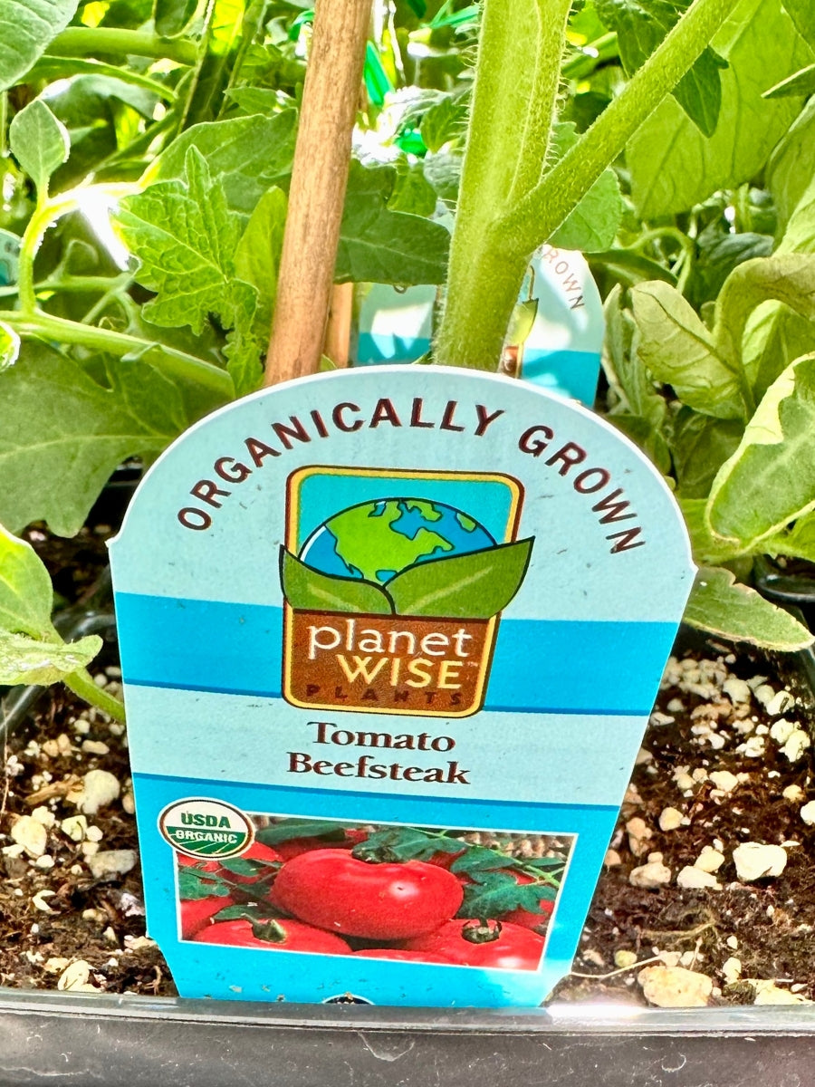 Watson's Greenhouse 