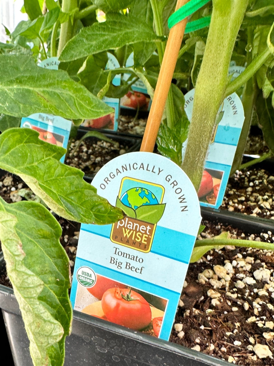 Watson's Greenhouse 