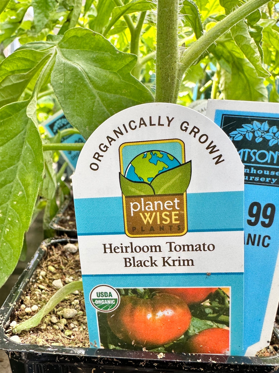 Watson's Greenhouse 