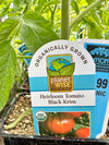 Organic Tomato 4" | Black Krim Heirloom