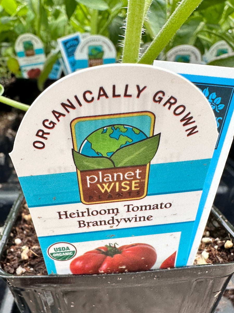 Watson's Greenhouse 