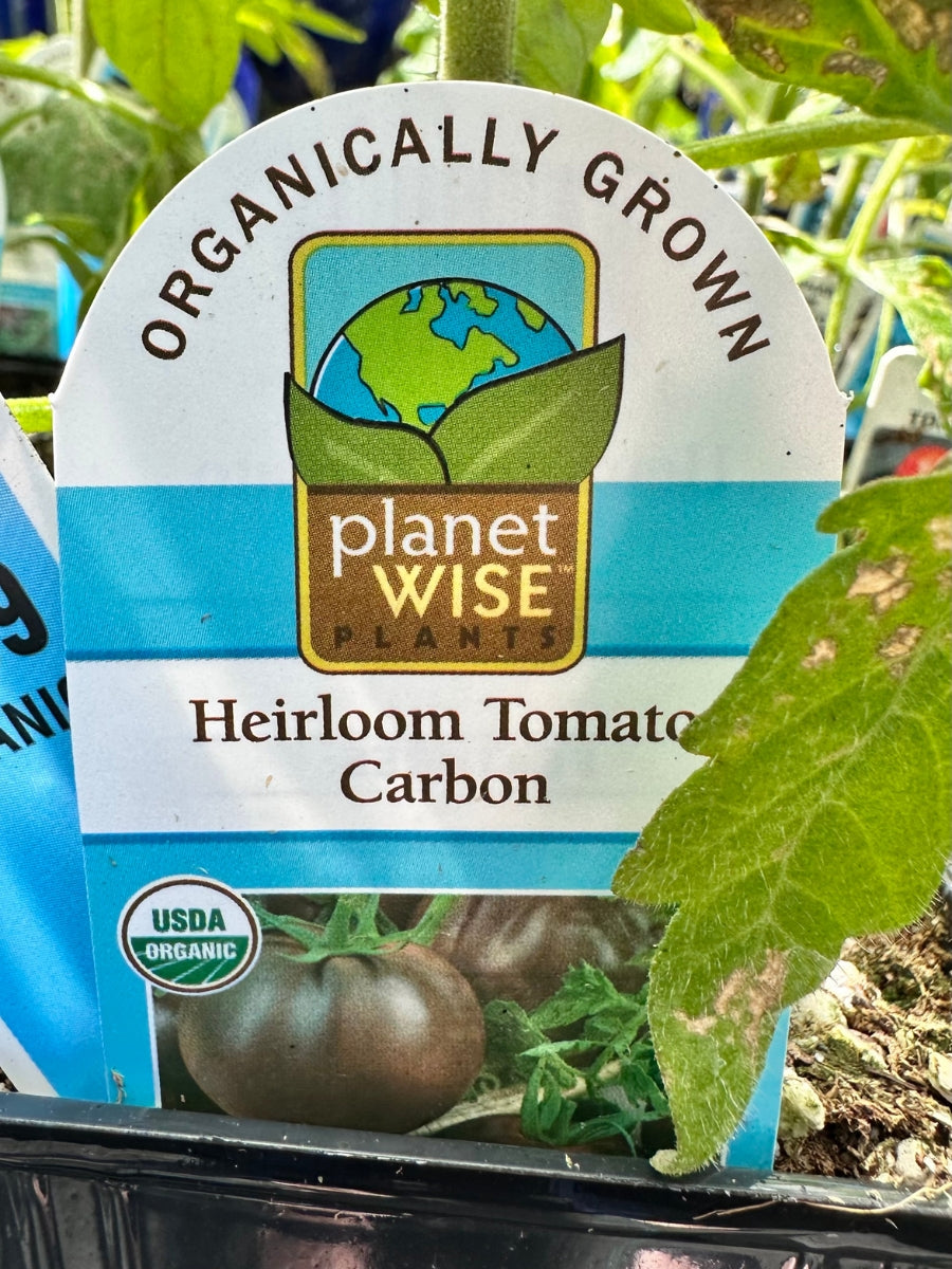 Watson's Greenhouse 