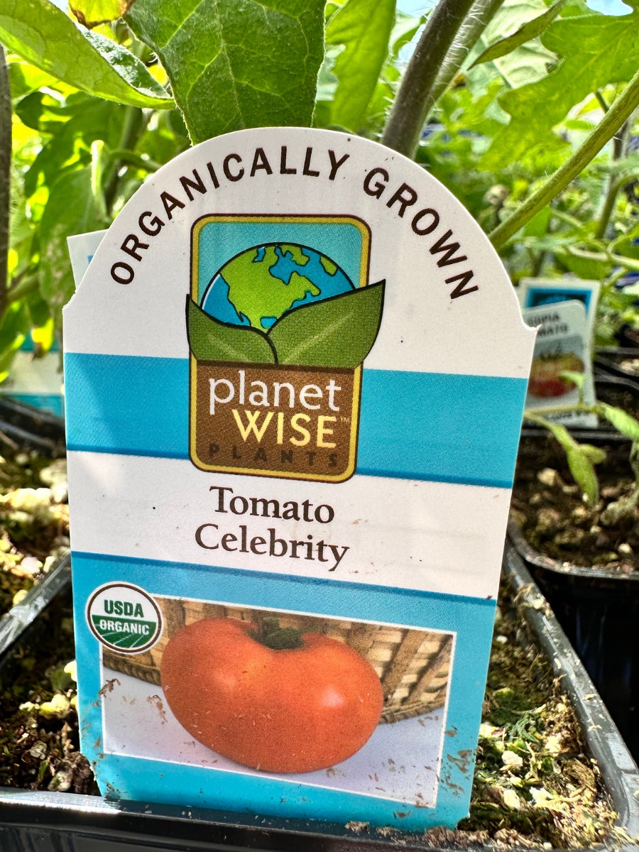 Watson's Greenhouse 