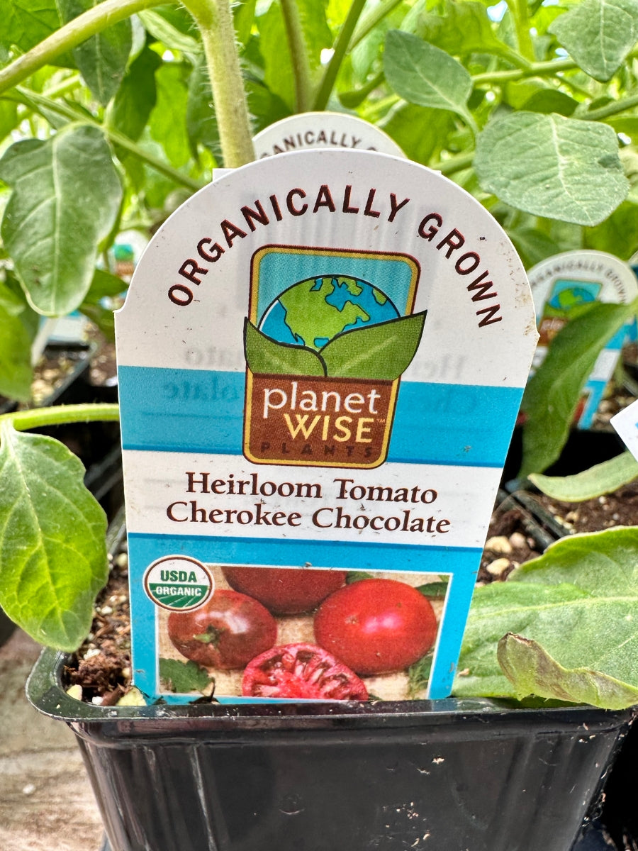 Watson's Greenhouse 