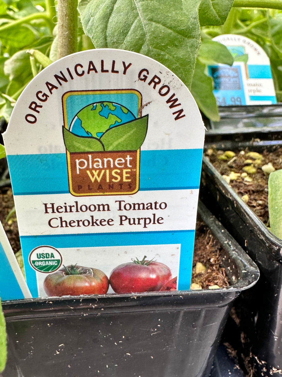 Watson's Greenhouse 