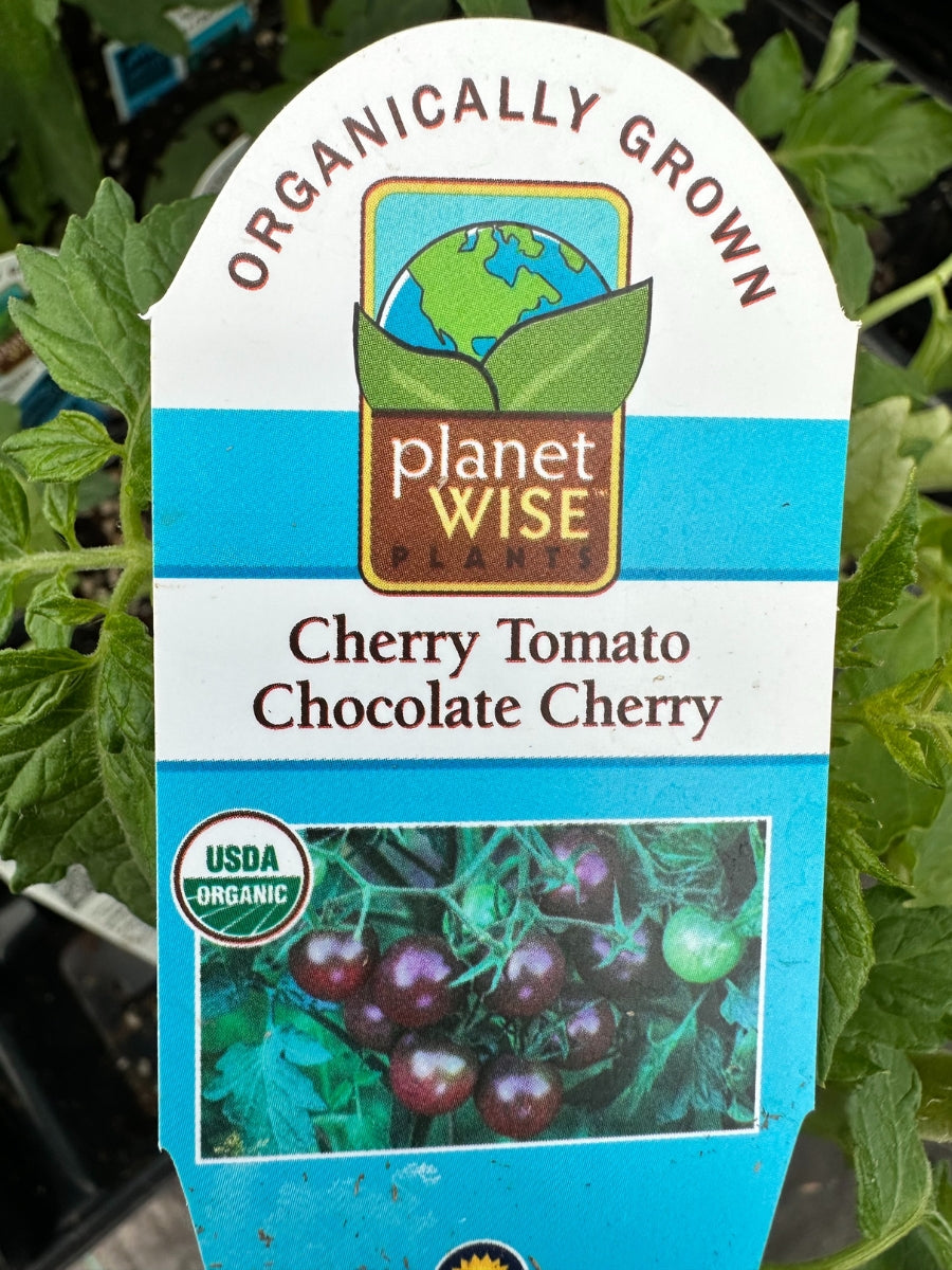 Watson's Greenhouse 