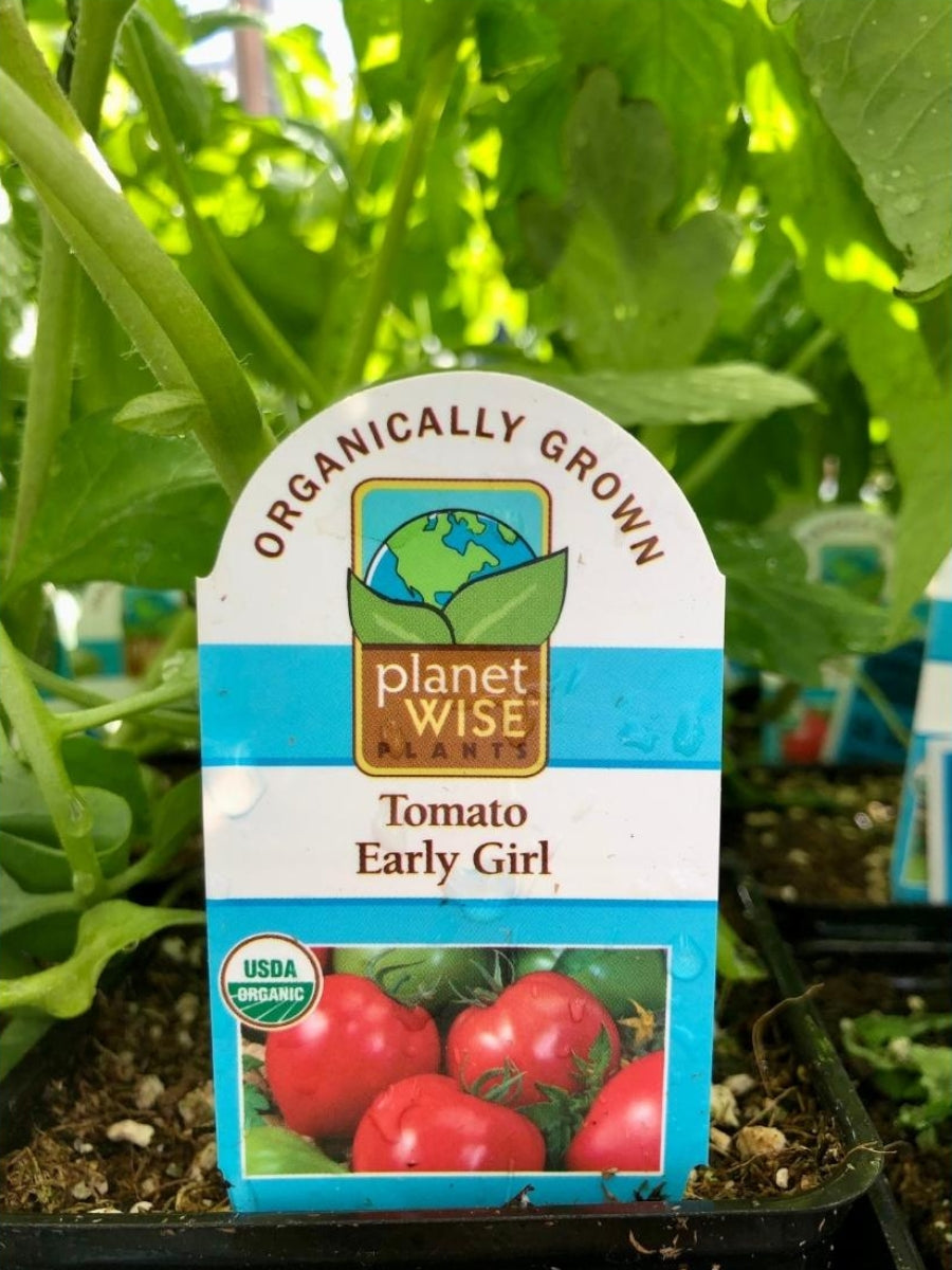 Watson's Greenhouse 