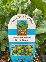 Organic Tomato 4" | Green Grapes