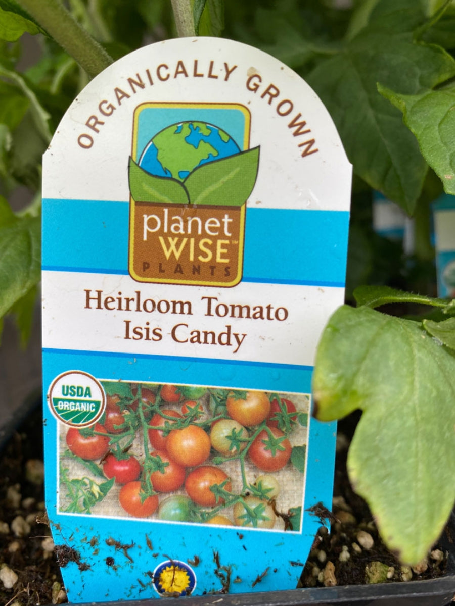 Watson's Greenhouse 