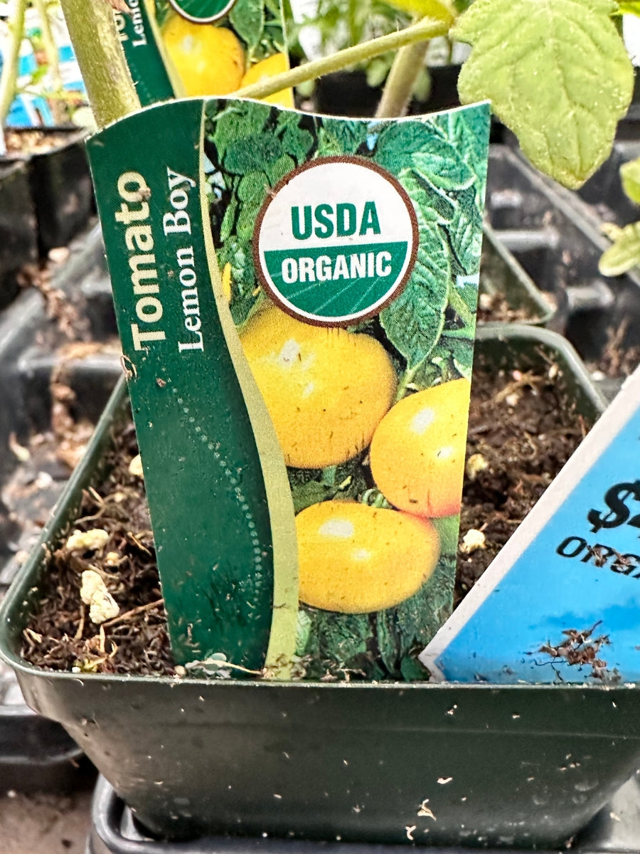 Watson's Greenhouse 