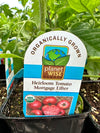 Organic Tomato 4" | Mortgage Lifter