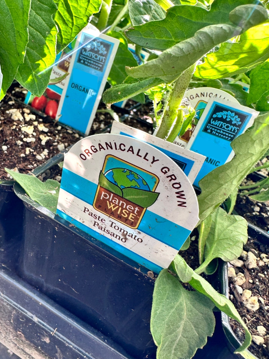 Watson's Greenhouse 