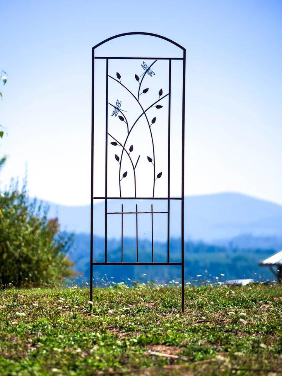 Trelis Sign Trellis – Watson's Greenhouse