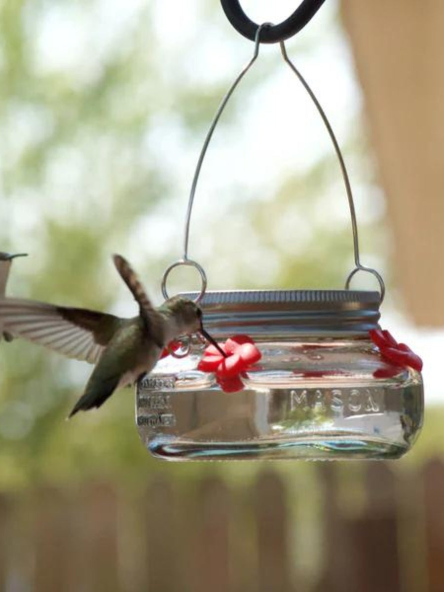 Mason Jar Hummingbird Feeder