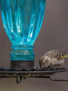 Vintage Glass Bird Waterer