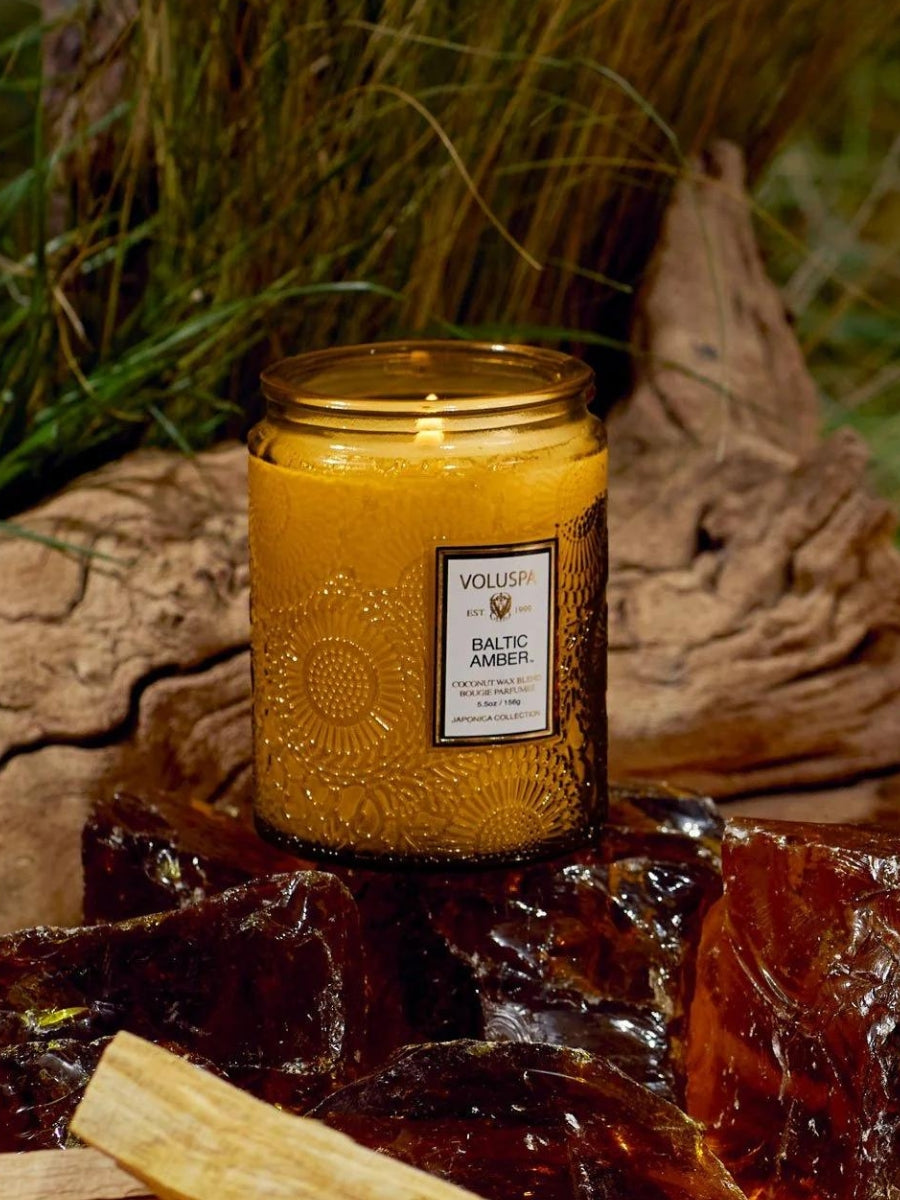 Baltic Amber 5.5 oz Candle