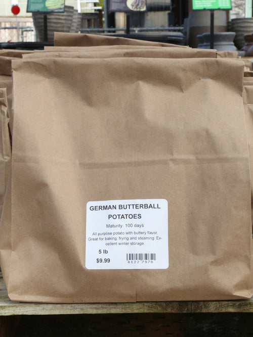 Seed Potato | German Butterball