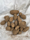 Seed Potato | Russet
