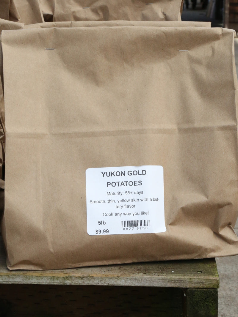 Seed Potato | Yukon Gold