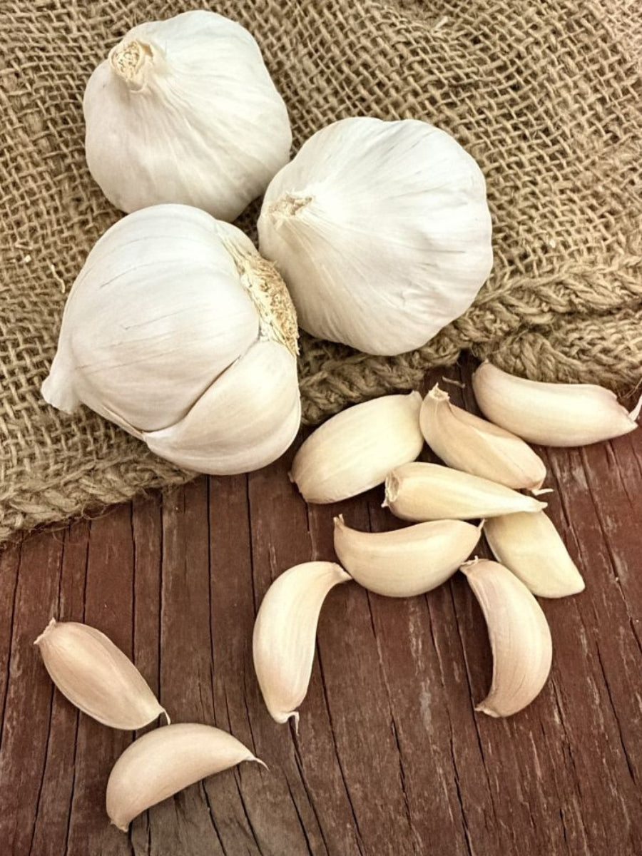 Garlic Softneck 'Nootka Rose' - Edible Bulb