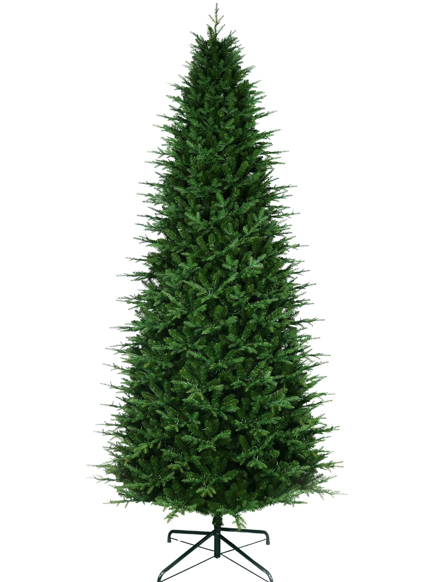 Kensington Fir 11'