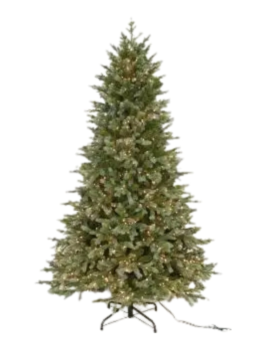 Concolor Fir Ombre Blue 7.5'