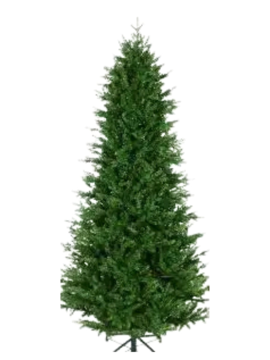 Fraser Supreme Fir 6.5'