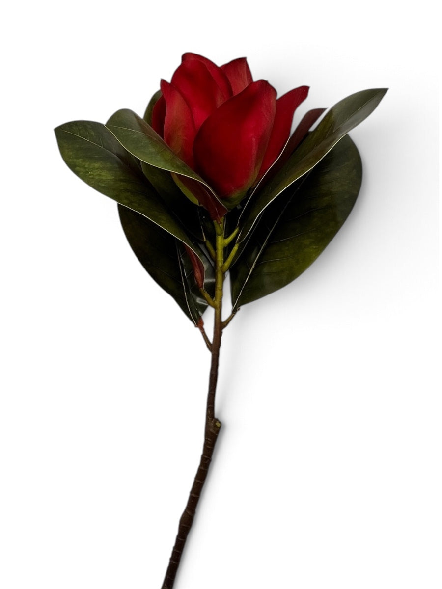 Red Magnolia Stem 19''