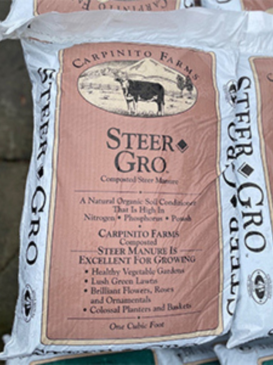 Carpinito Steer Manure 1 CF