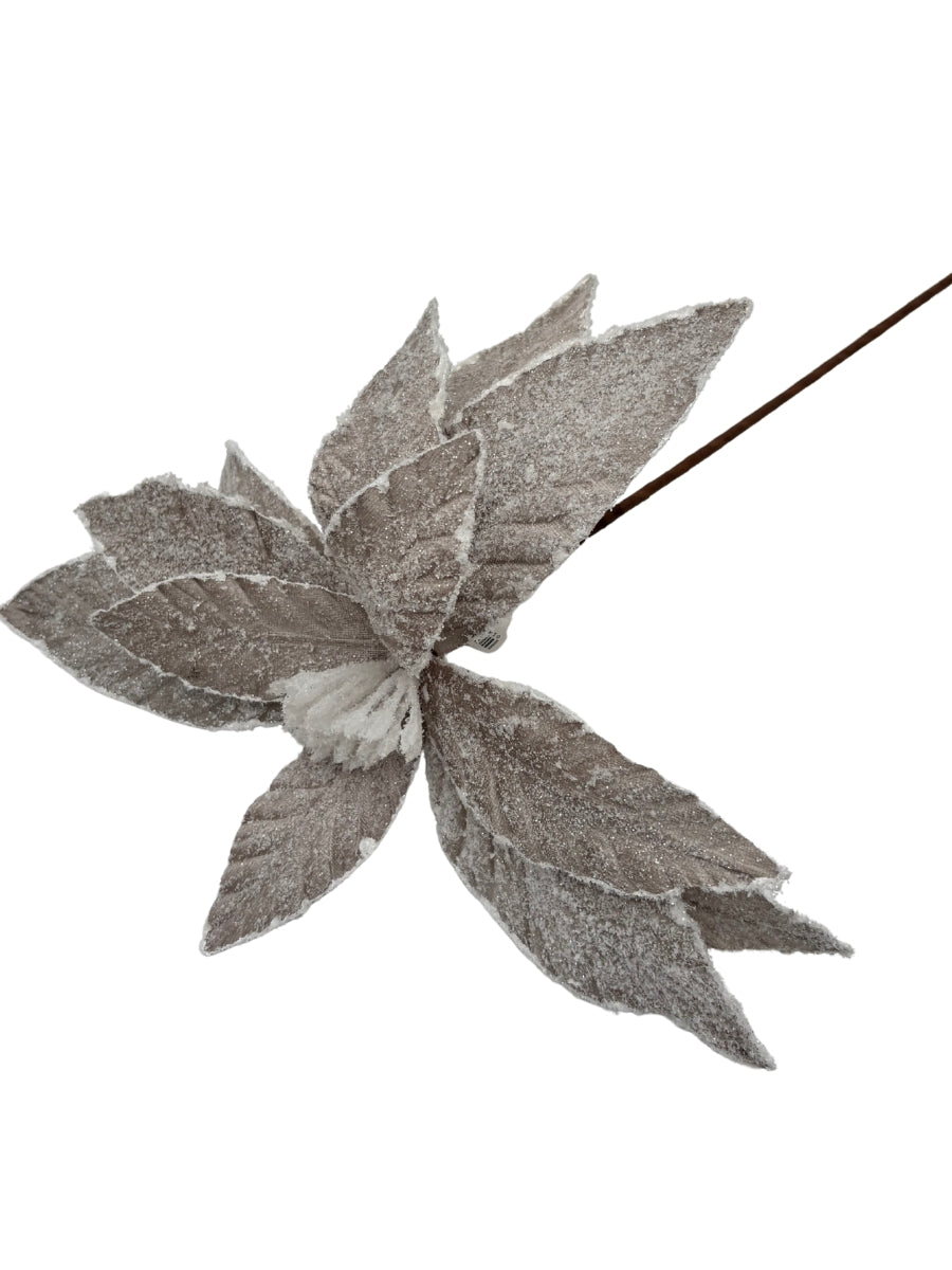 Sugar Poinsettia Stem Platinum 22''