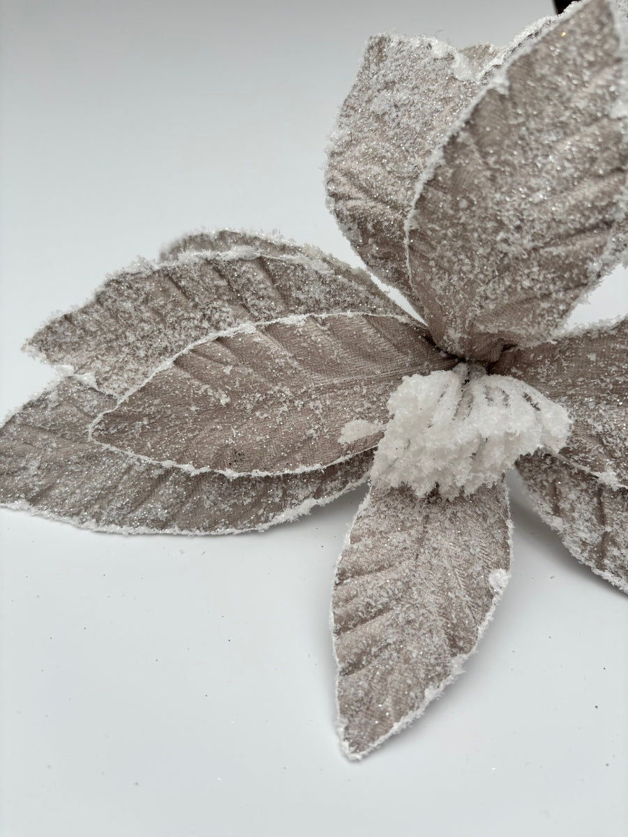 Sugar Poinsettia Stem Platinum 22''