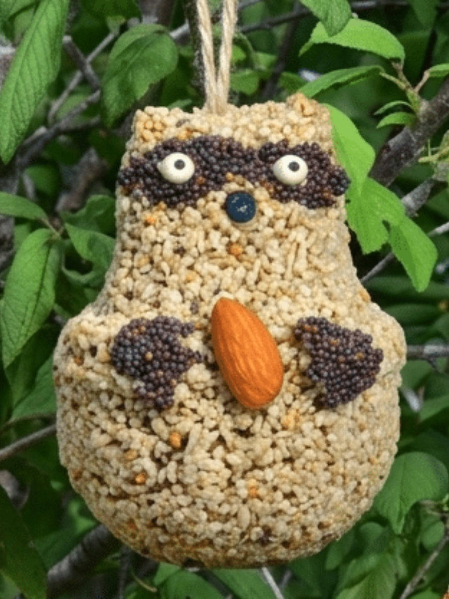 Mr. Bird Woodland Friends Raccoon