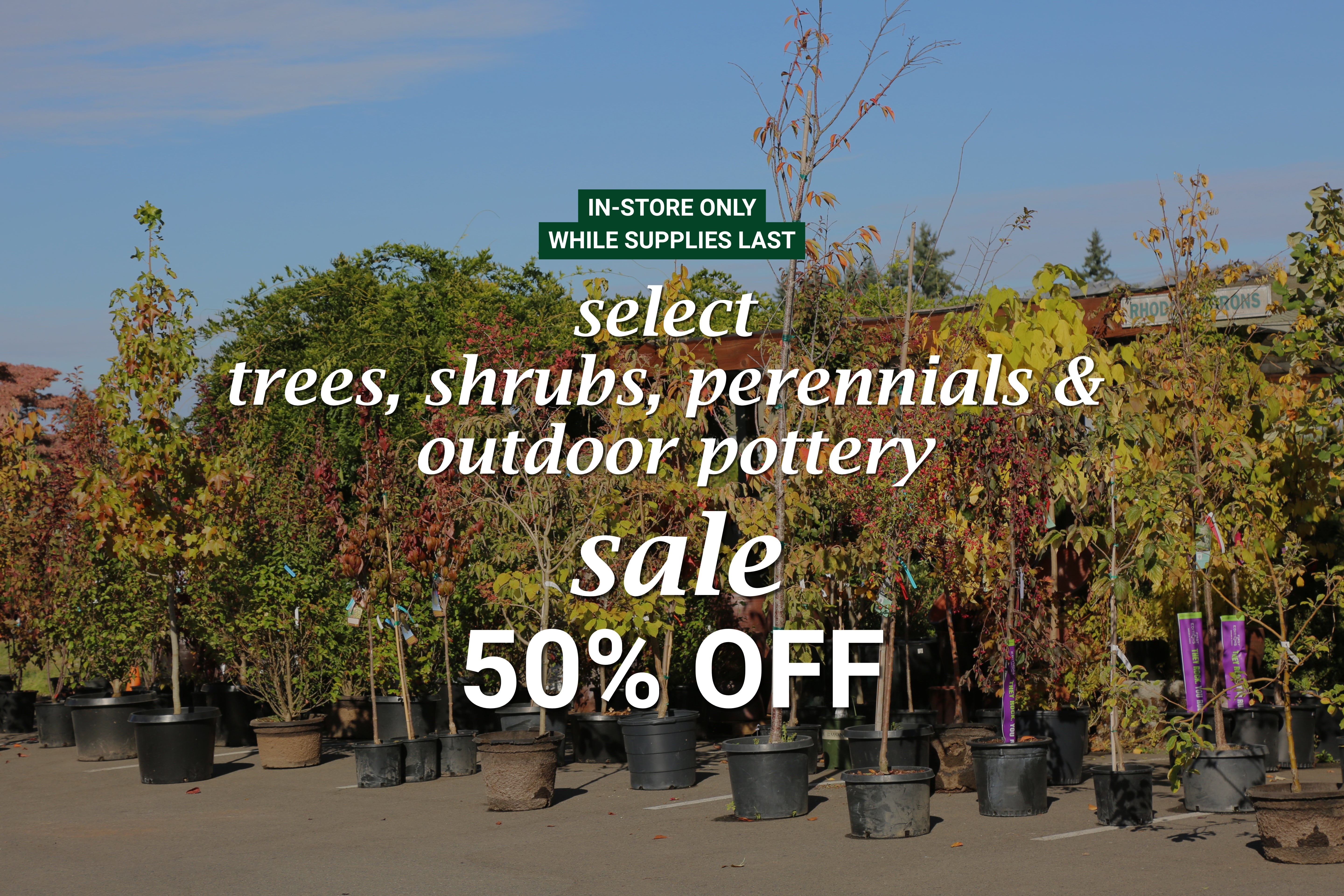 Perennials, Trees, & Shrubs – Watson's Greenhouse