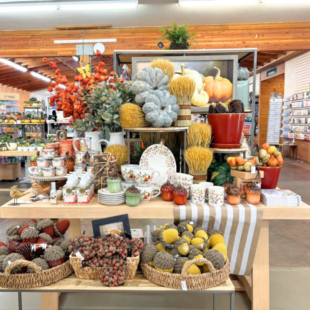 Watson's Greenhouse 