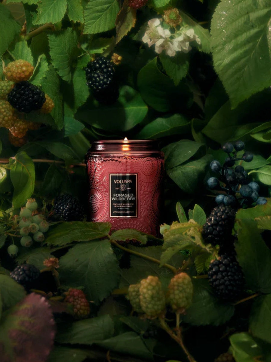 Voluspa Foraged Wildberry Small Jar 5.5oz