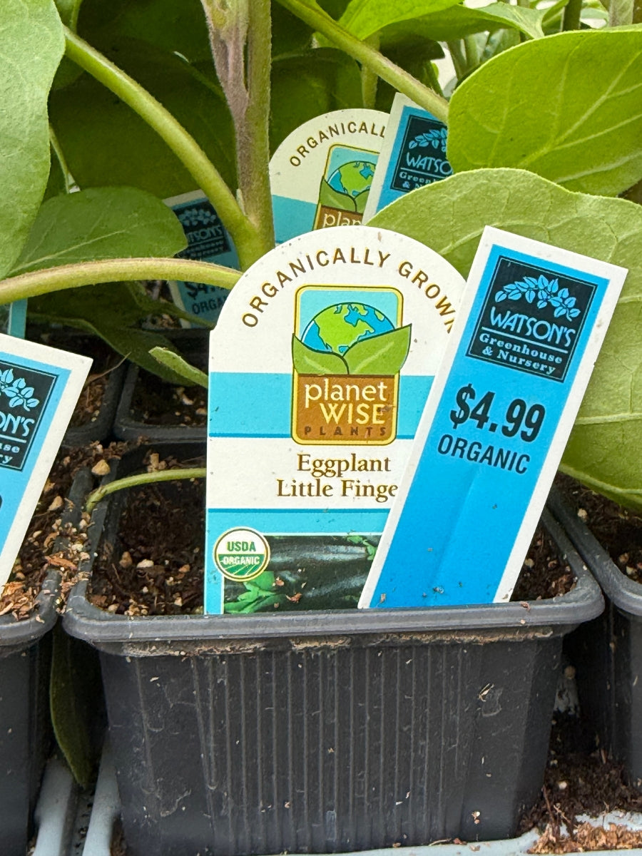 Watson's Greenhouse 