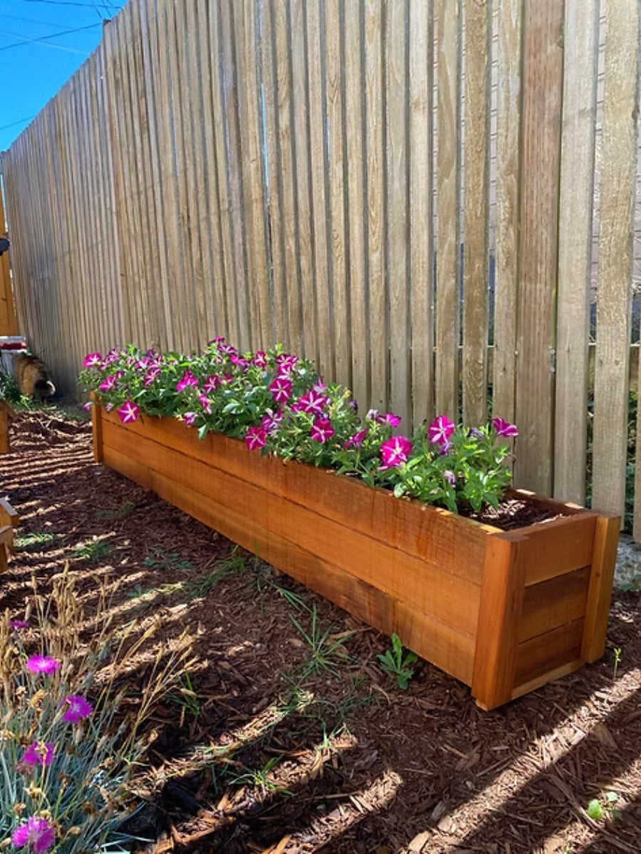 Planters – Watson's Greenhouse