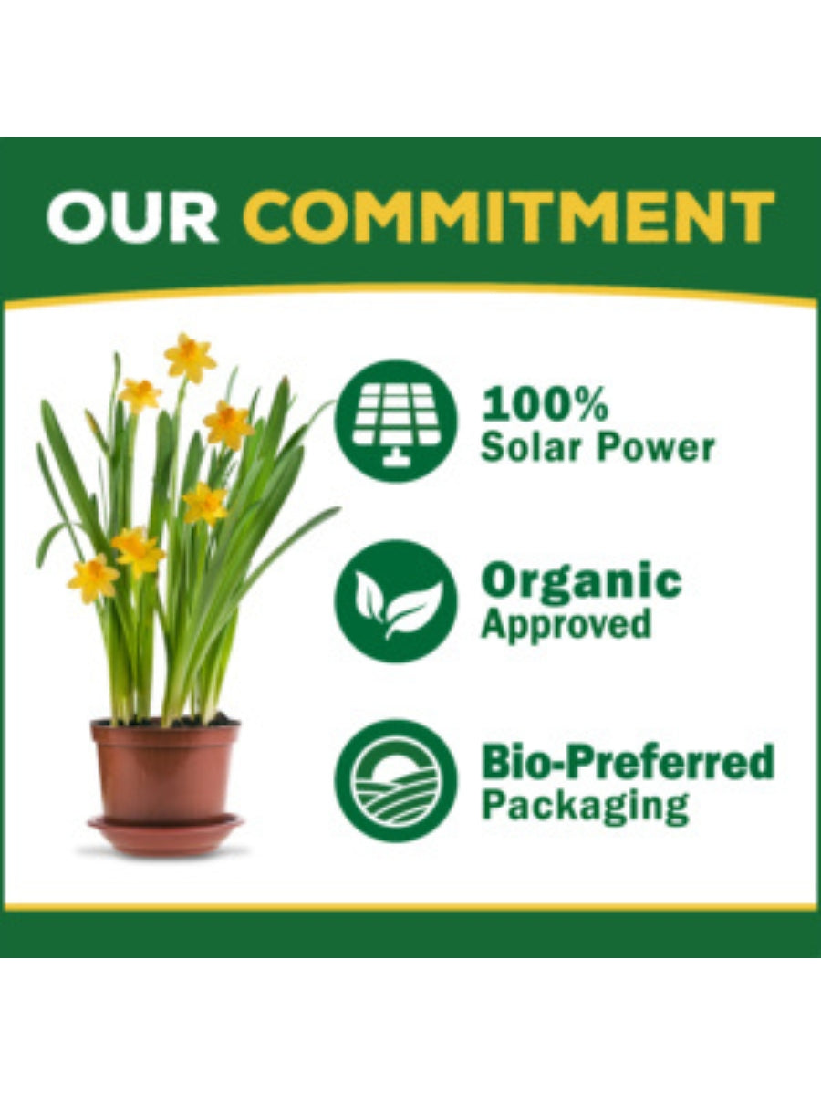 Espoma Organic Bio-tone Starter Plus 4lb