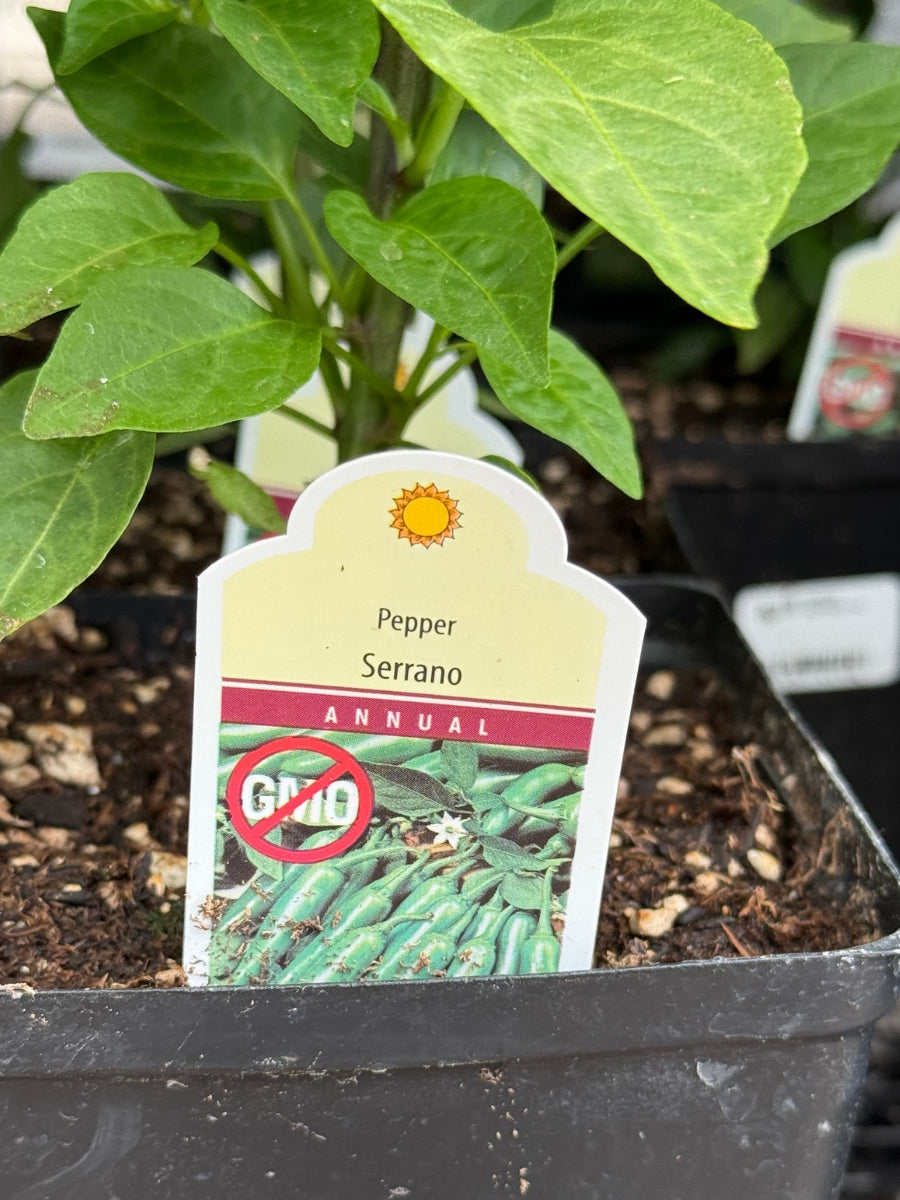 Watson's Greenhouse 