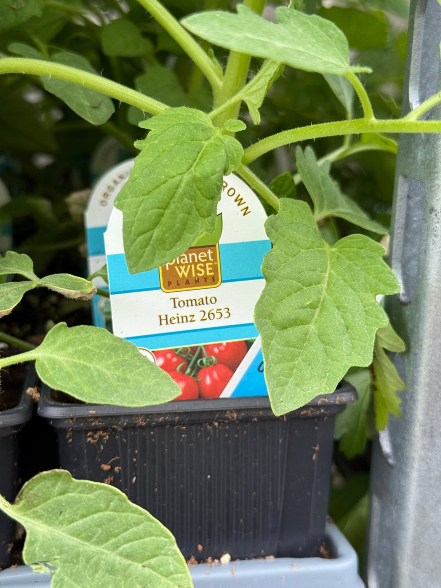 Watson's Greenhouse 